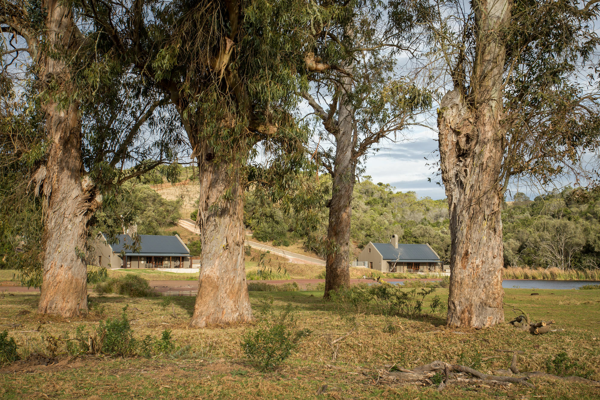 Botlierskop Bush Villas Sandhoogte 외부 사진