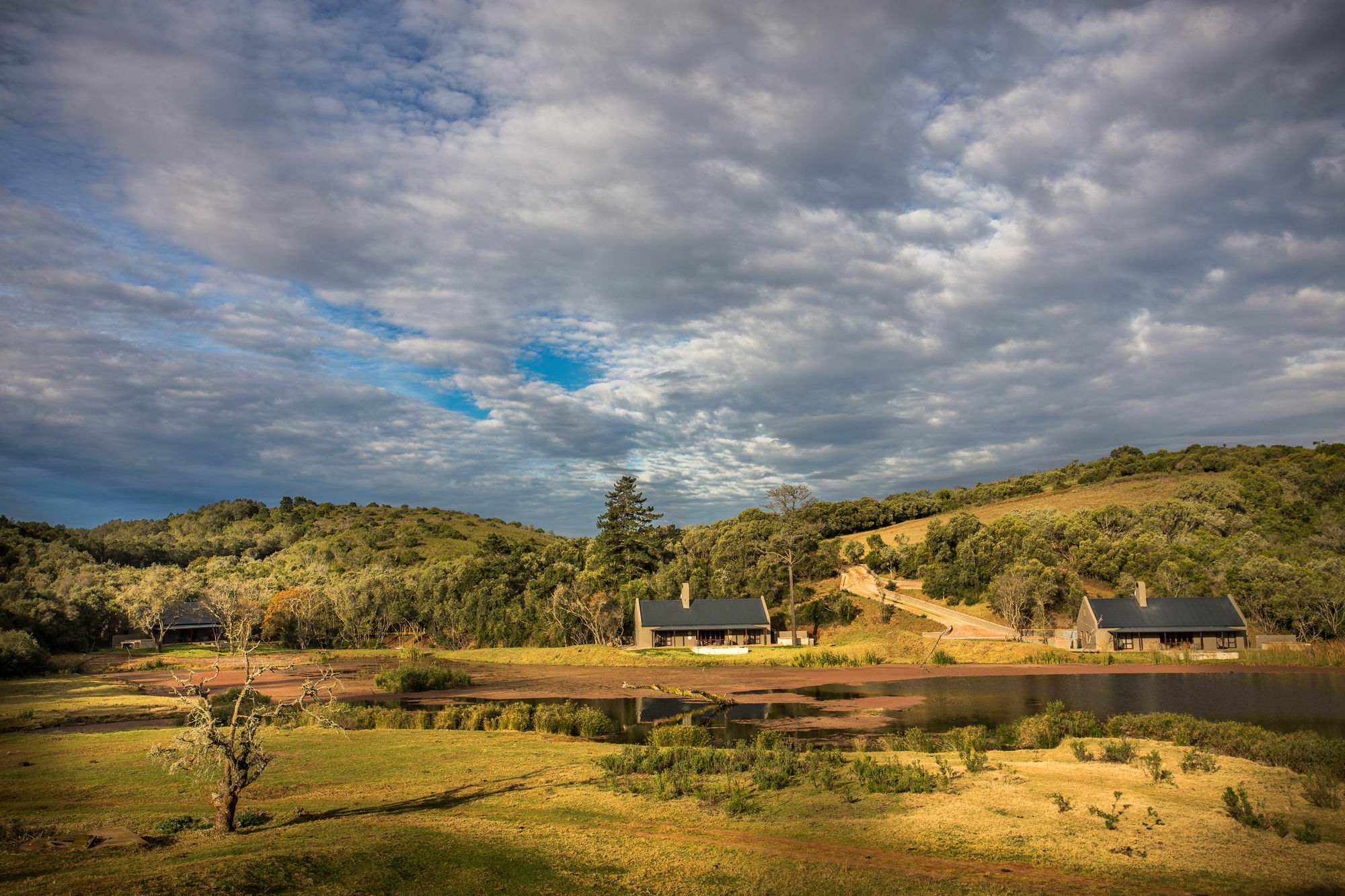 Botlierskop Bush Villas Sandhoogte 외부 사진